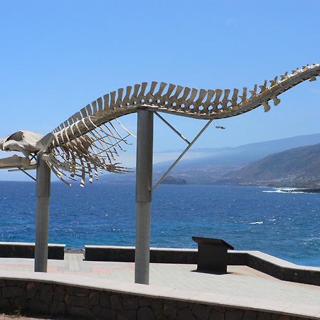 לוס סילוס Casa"La Gomera" מראה חיצוני תמונה